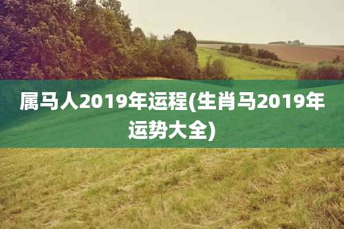 属马人2019年运程(生肖马2019年运势大全)