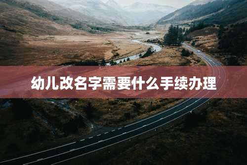 幼儿改名字需要什么手续办理