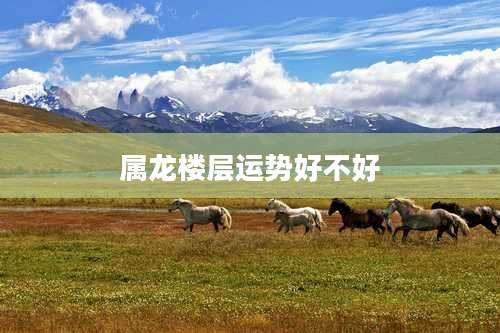 属龙楼层运势好不好