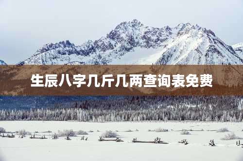 生辰八字几斤几两查询表免费