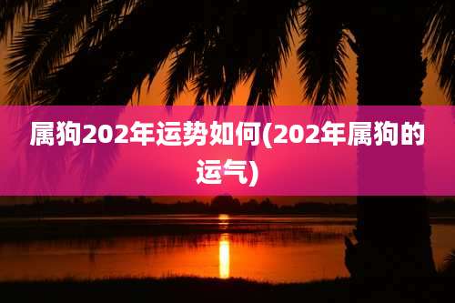 属狗202年运势如何(202年属狗的运气)
