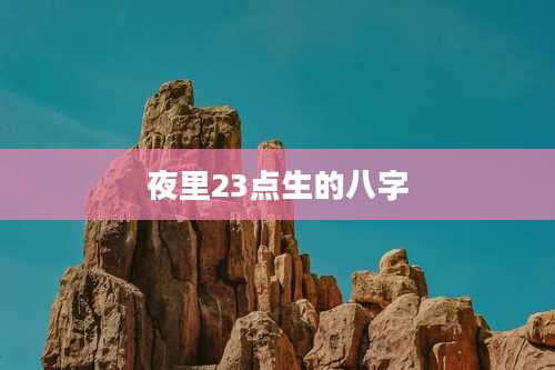 夜里23点生的八字