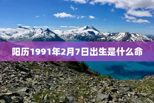 阳历1991年2月7日出生是什么命