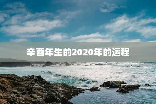 辛酉年生的2020年的运程