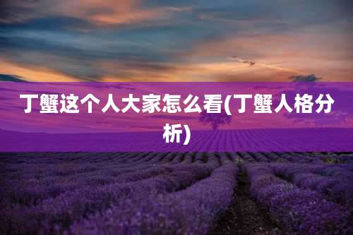 丁蟹这个人大家怎么看(丁蟹人格分析)