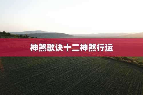 神煞歌诀十二神煞行运