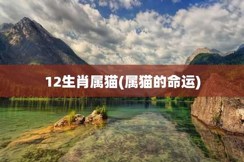 12生肖属猫(属猫的命运)