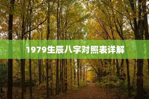 1979生辰八字对照表详解