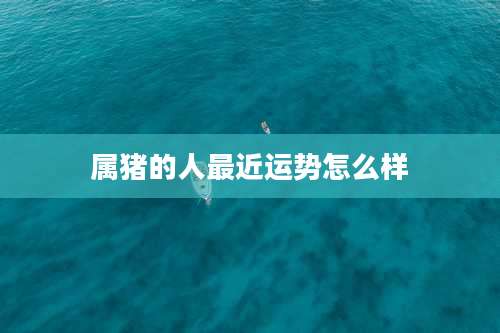 属猪的人最近运势怎么样