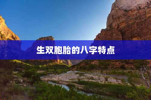 生双胞胎的八字特点