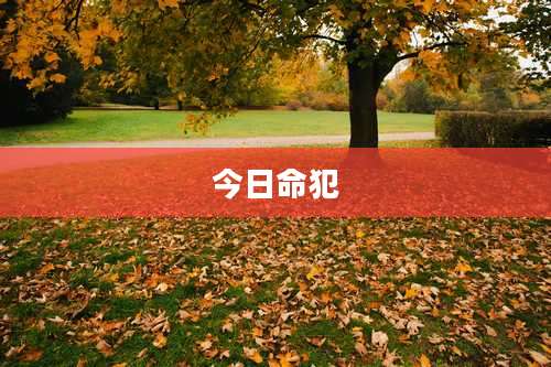 今日命犯
