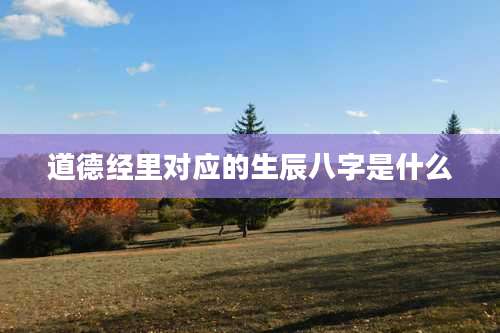 道德经里对应的生辰八字是什么