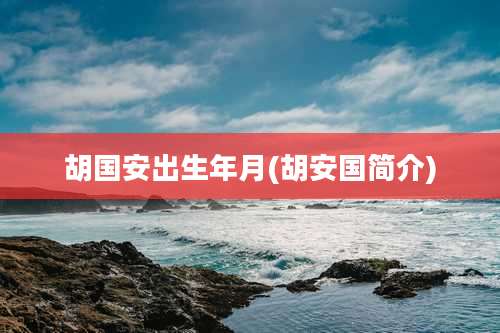 胡国安出生年月(胡安国简介)