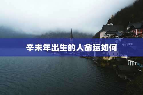 辛未年出生的人命运如何