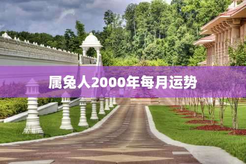 属兔人2000年每月运势