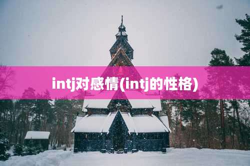 intj对感情(intj的性格)