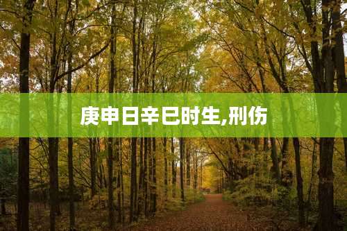 庚申日辛巳时生,刑伤