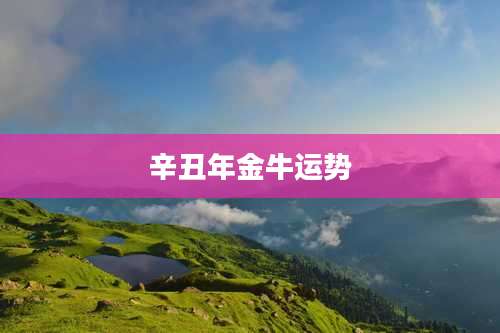 辛丑年金牛运势