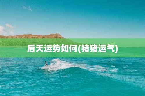 后天运势如何(猪猪运气)