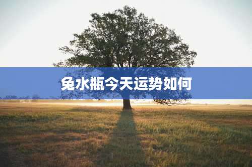 兔水瓶今天运势如何