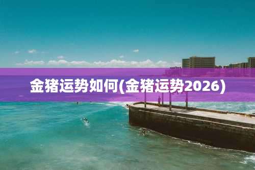 金猪运势如何(金猪运势2026)