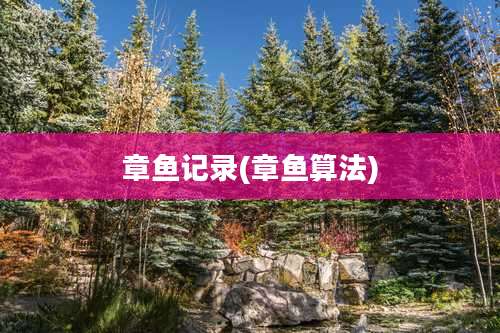 章鱼记录(章鱼算法)