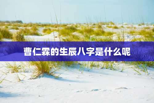 曹仁霖的生辰八字是什么呢