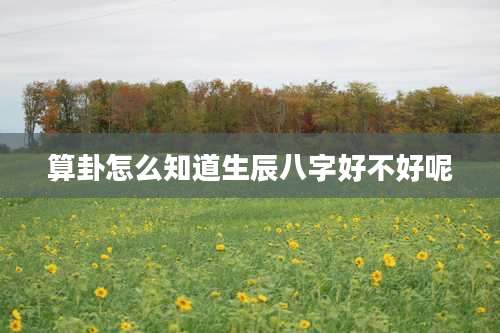 算卦怎么知道生辰八字好不好呢