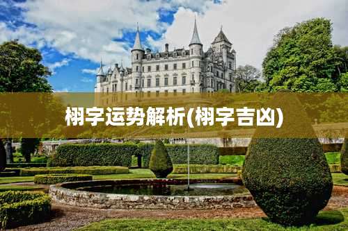 栩字运势解析(栩字吉凶)