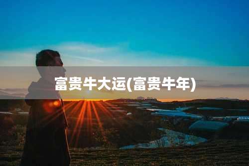 富贵牛大运(富贵牛年)