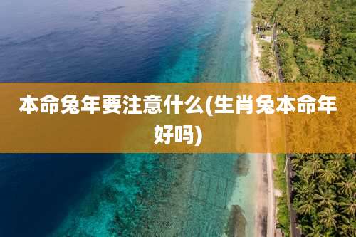 本命兔年要注意什么(生肖兔本命年好吗)