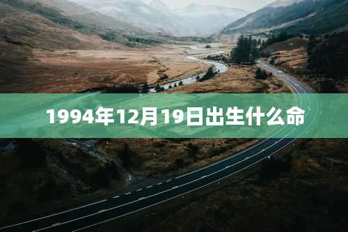 1994年12月19日出生什么命