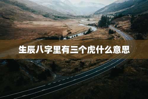 生辰八字里有三个虎什么意思