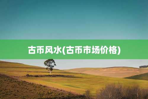 古币风水(古币市场价格)