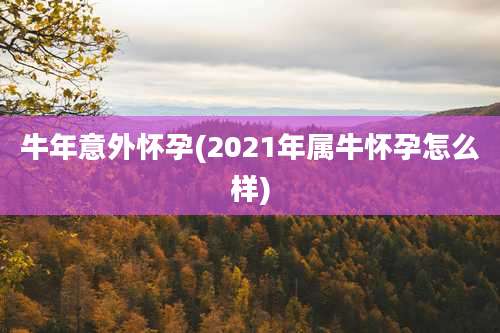 牛年意外怀孕(2021年属牛怀孕怎么样)