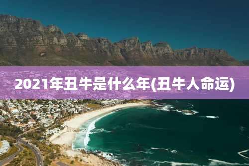 2021年丑牛是什么年(丑牛人命运)