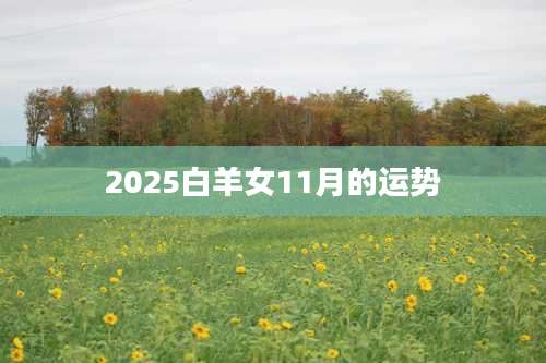 2025白羊女11月的运势