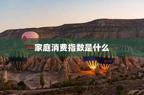 家庭消费指数是什么