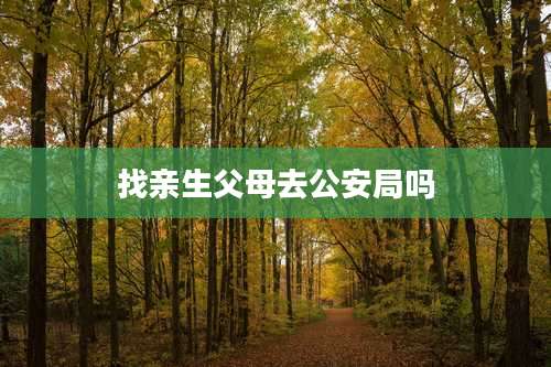 找亲生父母去公安局吗