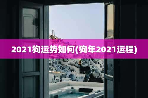 2021狗运势如何(狗年2021运程)