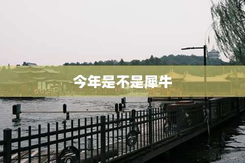 今年是不是犀牛