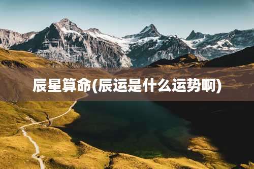 辰星算命(辰运是什么运势啊)