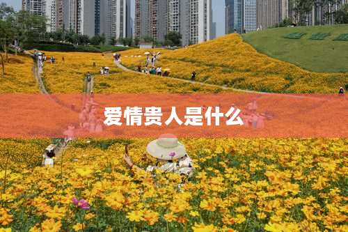 爱情贵人是什么