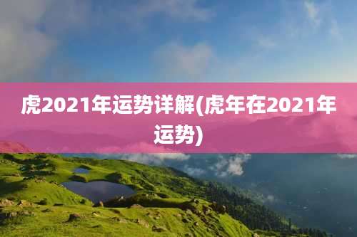 虎2021年运势详解(虎年在2021年运势)