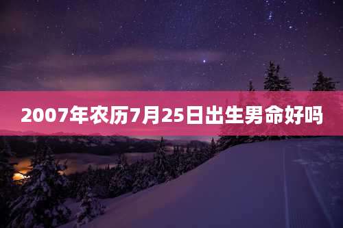 2007年农历7月25日出生男命好吗
