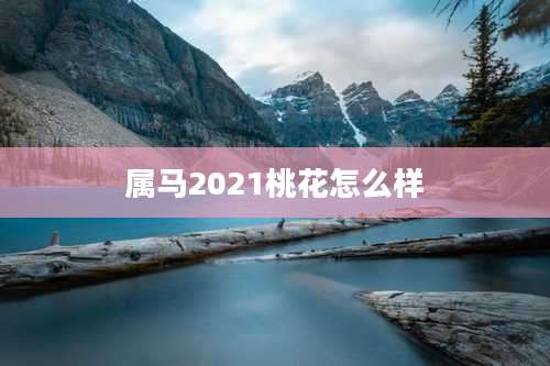 属马2021桃花怎么样