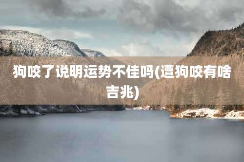 狗咬了说明运势不佳吗(遭狗咬有啥吉兆)