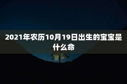2021年农历10月19日出生的宝宝是什么命