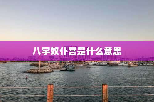 八字奴仆宫是什么意思