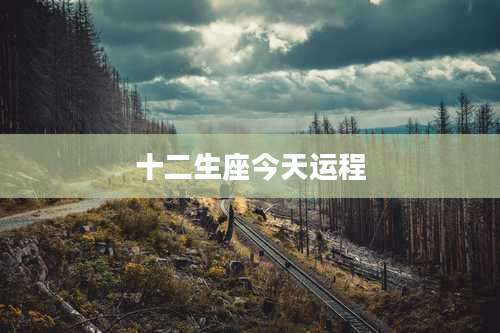 十二生座今天运程